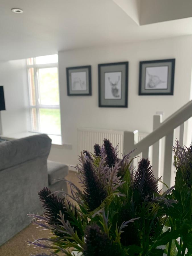 Cliffview Apartment آربروث المظهر الخارجي الصورة